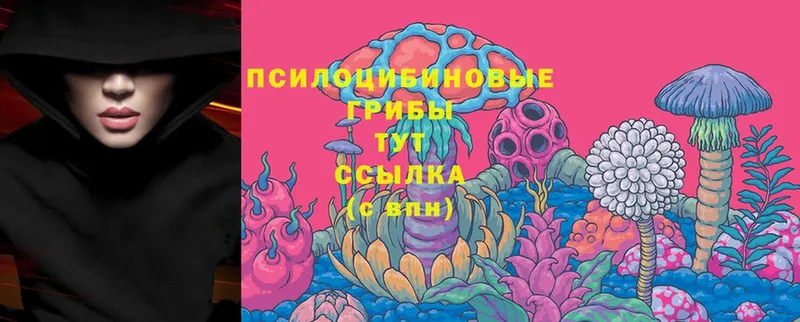 Галлюциногенные грибы Cubensis  Арсеньев 